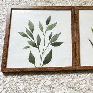 Framed Greenery Pictures